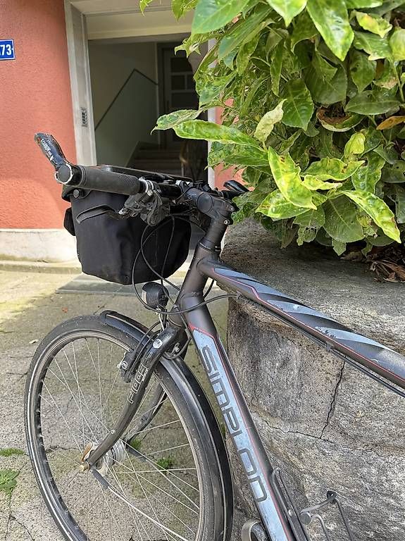 Velos: Reiserad Simplon Rahmen L – Gebraucht aus Zürich von morris222 1