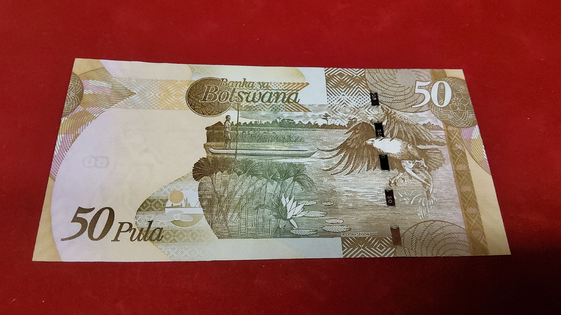 Banconote: Botswana 50 Pula Banknote - Seltene Sammlernote aus Afrika! – Nuovo e nell'imballaggio originale da Herisau venduto da Nluanalucas 1
