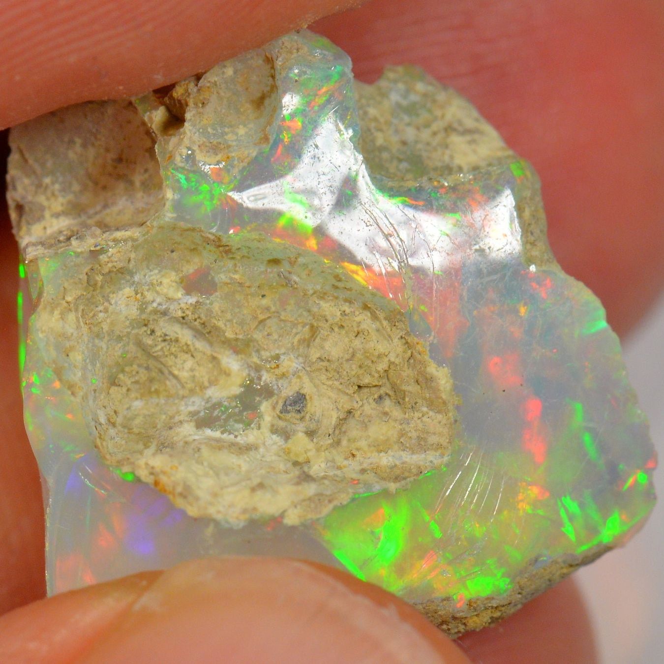 Pierres précieuses: 19.2 Karat - Roher Äthiopischer Welo Opal – Neuf (Voir description) à Rüti ZH par DeinOpal 2