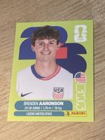 Brenden Aaronson USA 17
