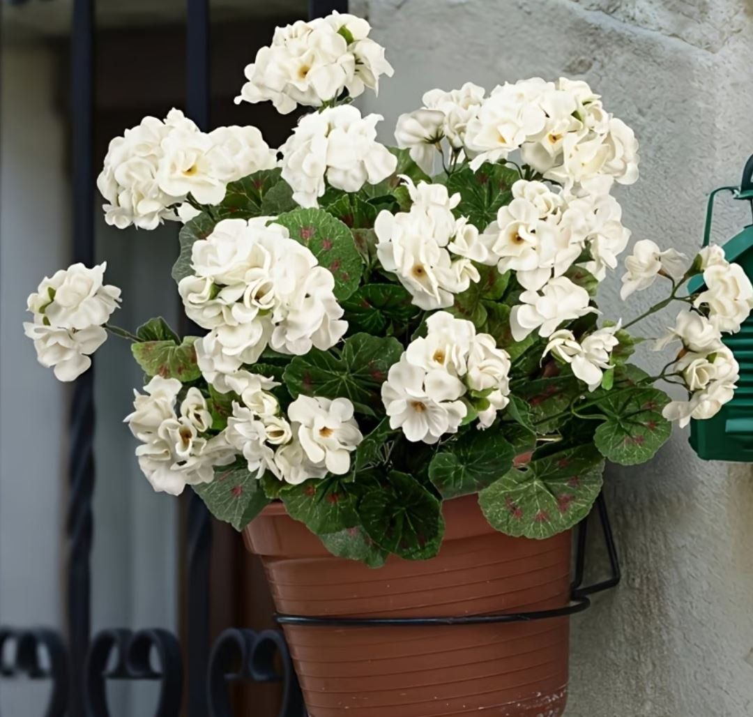 Piante & sementi: Künstl. Geranium stehend (weiss 32 cm) – Nuovo e nell'imballaggio originale da Langenbruck venduto da Gumsi