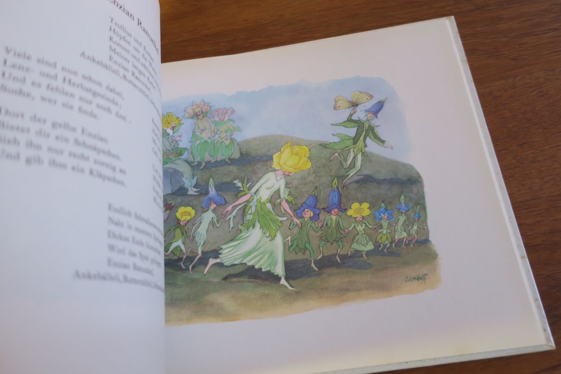 Libri: Ernst Kreidolf / ALPENBLUMENMÄRCHEN – Usato da Langenthal venduto da Riccardamax 7