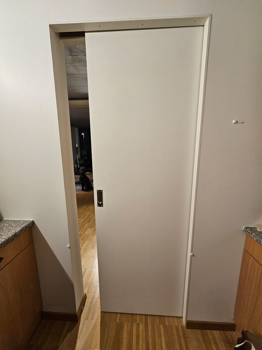 Porte: Schiebetüre – Usato da Ebnat-Kappel venduto da baefzger 1