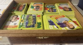 Panini 1000 Stück 