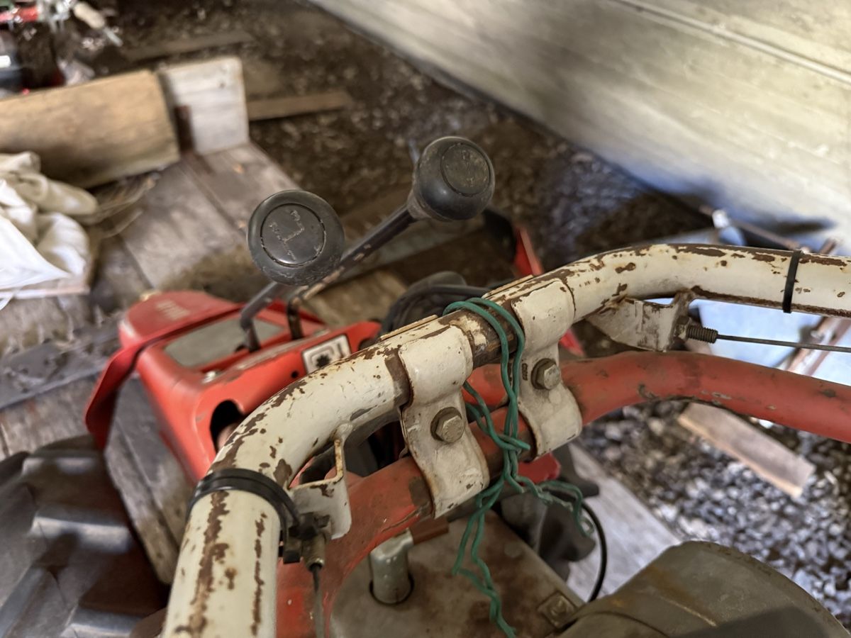 Reform Tutte le macchine: Reform 316 D Motormäher – Usato da Münster venduto da werage 3
