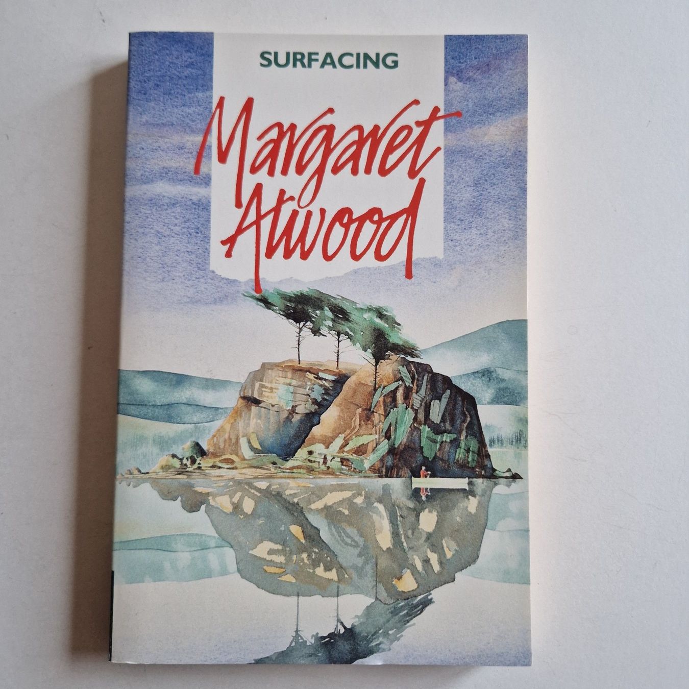 Libri: Surfacing – Usato da Rüti ZH venduto da Gigelisuppe