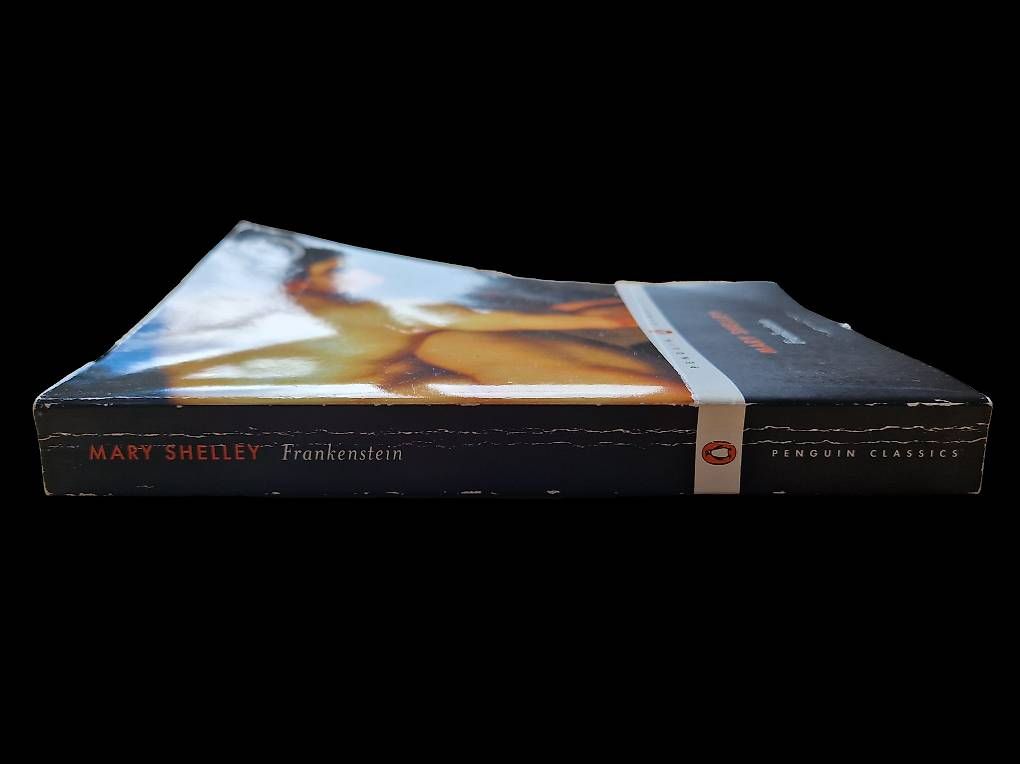 Bücher: Frankenstein- Livre en anglais – Gebraucht aus Genève von T_O 2