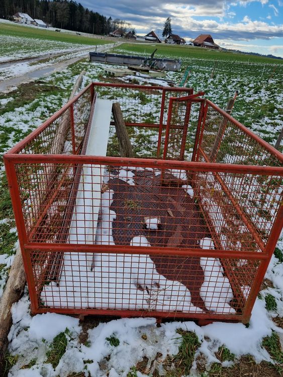 Transportgitter, Gitter, Box mit Tor (Gebraucht) in Ruppoldsried für ...