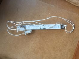 EVG