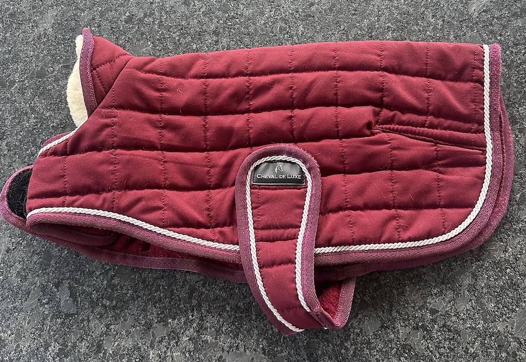 Bekleidung: Hundemantel sehr warm – Gebraucht aus Wahlen b. Laufen von Spiri_Nemo