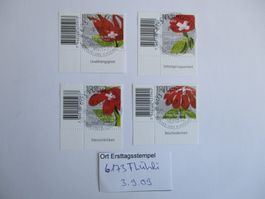 Voll Ort Ersttagsstempel 6173 Flühli