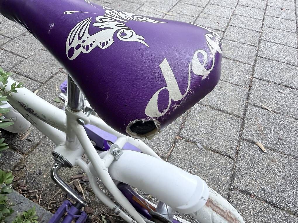 Vélos: Velo  – Défectueux à stäfa par Jasii 3