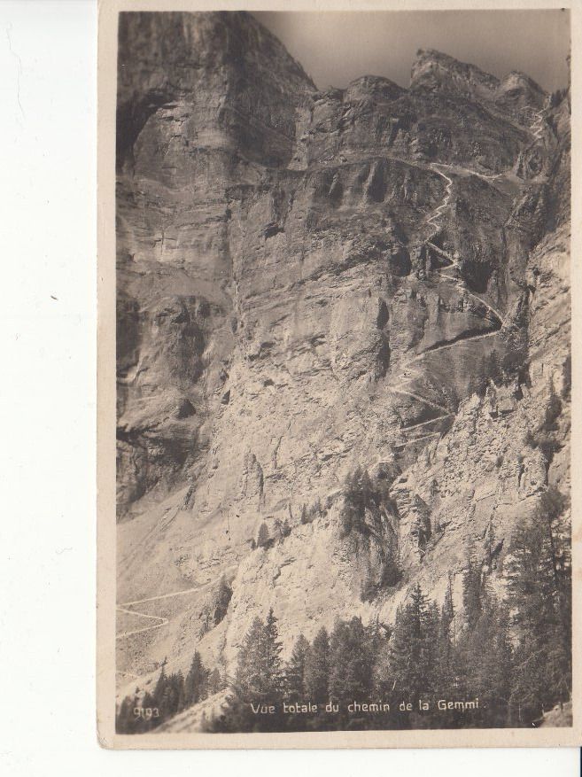 Cartoline postali: Gemmi 1924 – Usato da Bürglen TG venduto da StampGraf