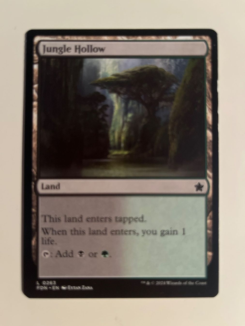 Magic The Gathering Sammelbilder & Trading cards: 1 x Jungle Hollow - Magic: The Gathering - MtG – Gebraucht aus Kriens von Shadi1980