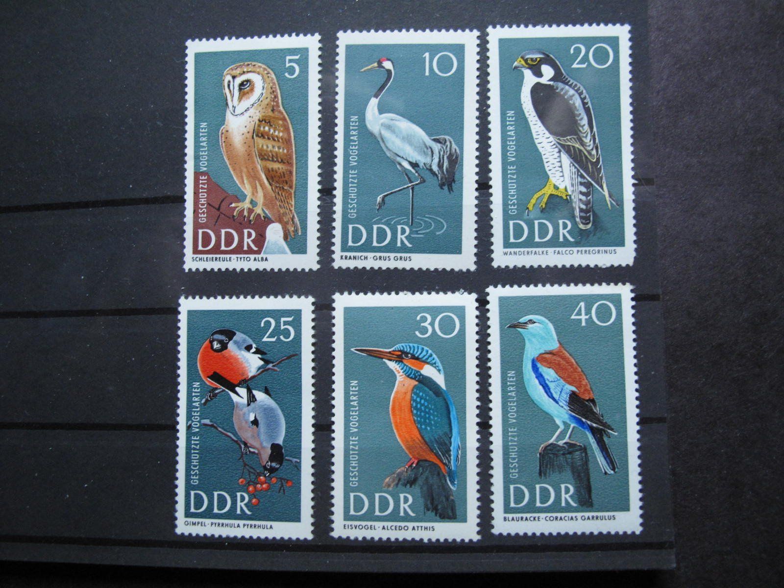 Tutti i francobolli: DDR 1967 Geschützte Vögel  ** – Usato da Wil SG venduto da fva01