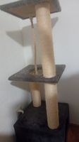 Katzenbaum