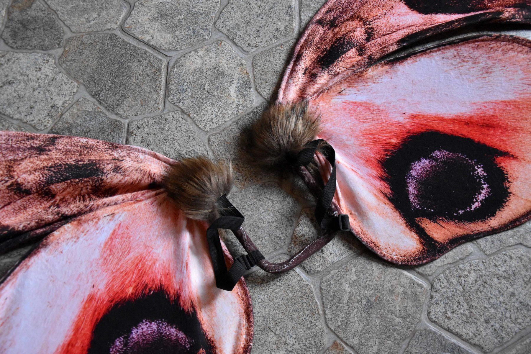 Kostüme: Ailes de Papillon de Nuit faite main – Neu (gemäss Beschreibung) aus Vaulion von sambigben 2