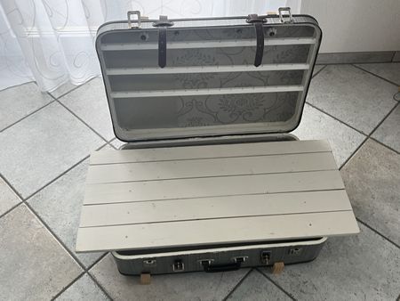 Spezieller Koffer für Koffermarkt