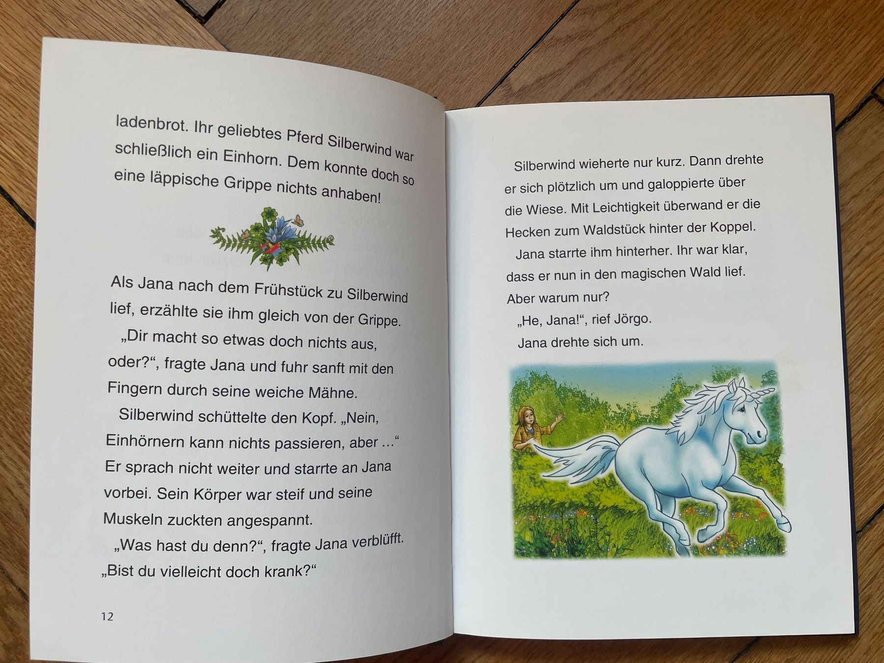 Libri: Silberwind, das weisse Einhorn, Das Einhornfohlen Kinderbuch – Usato da Wabern venduto da Bru-Mi 4