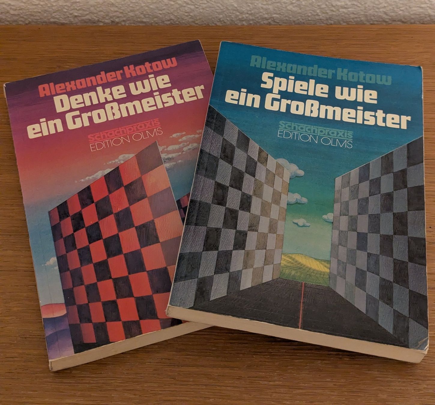 Libri: Schach-Bücher aus Nachlas – Usato da Oberbipp venduto da theresiafrosch