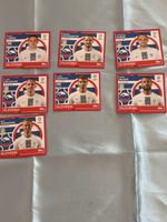 Slowenien Topps EM 2024