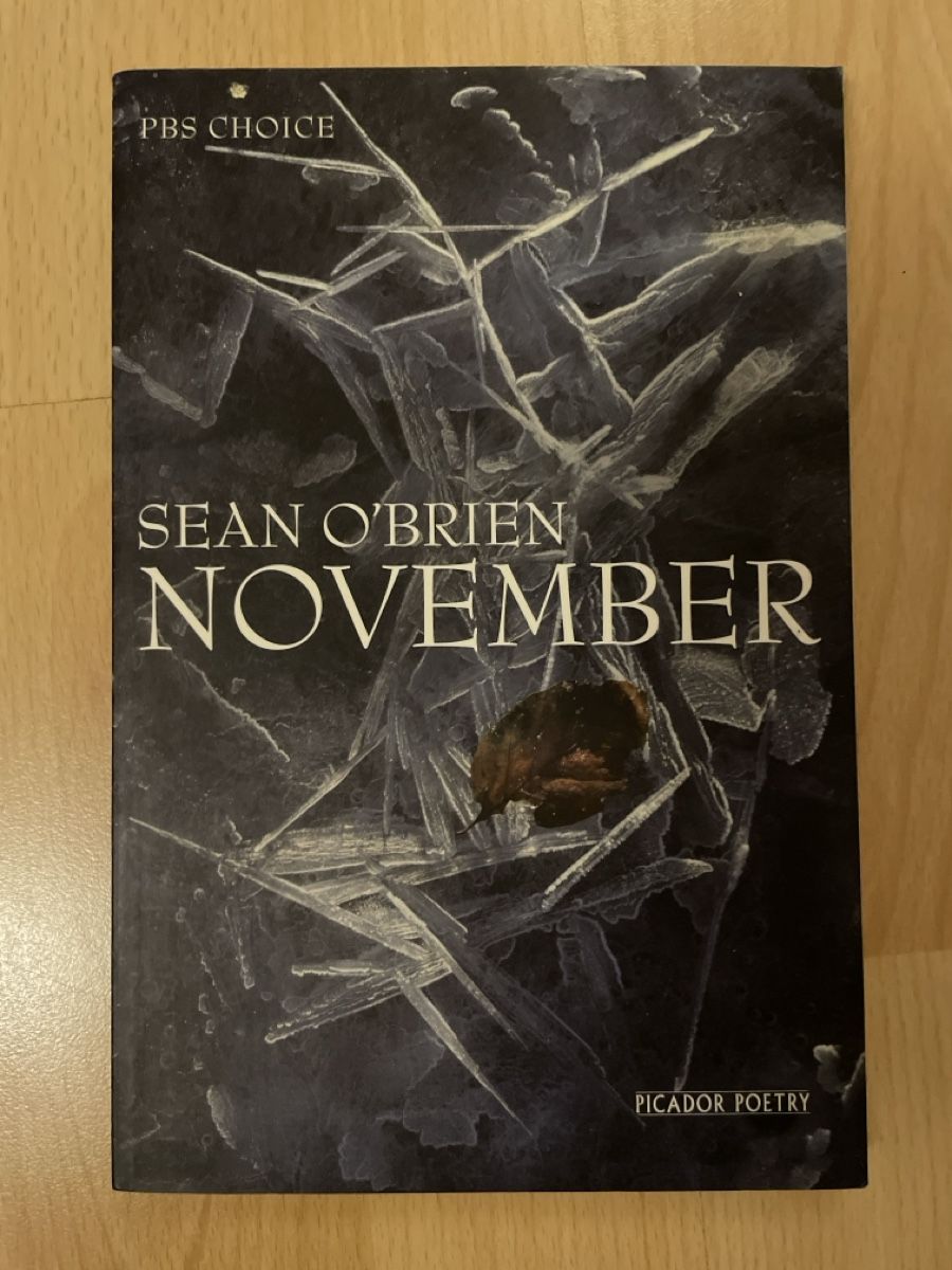 Libri: Sean O’Brien: November – Usato da Münchenstein venduto da jan_5fyc
