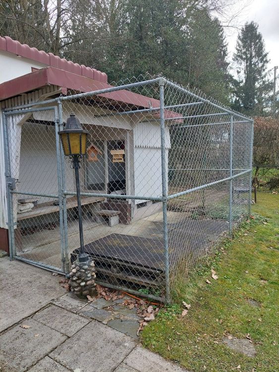 Hundezwinger Kaufen auf Ricardo