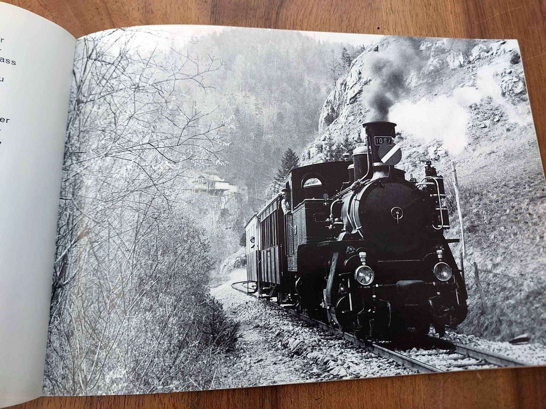 Riviste & Magazine: Die letzten Dampflokomotiven der Brünigbahn – Usato da Schönenwerd venduto da Steidi 5