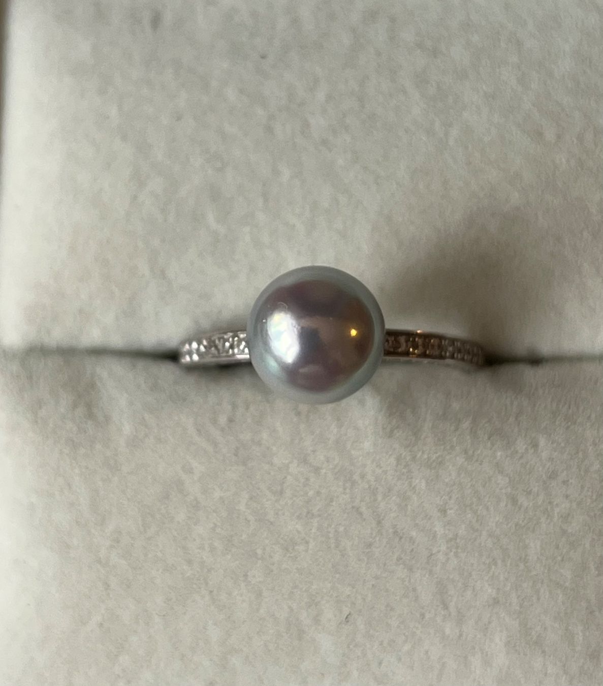 Ringe: Goldring 750 mit echter Akoyaperle 8.1 mm – Neu (gemäss Beschreibung) aus Bern von Steinfieber 2