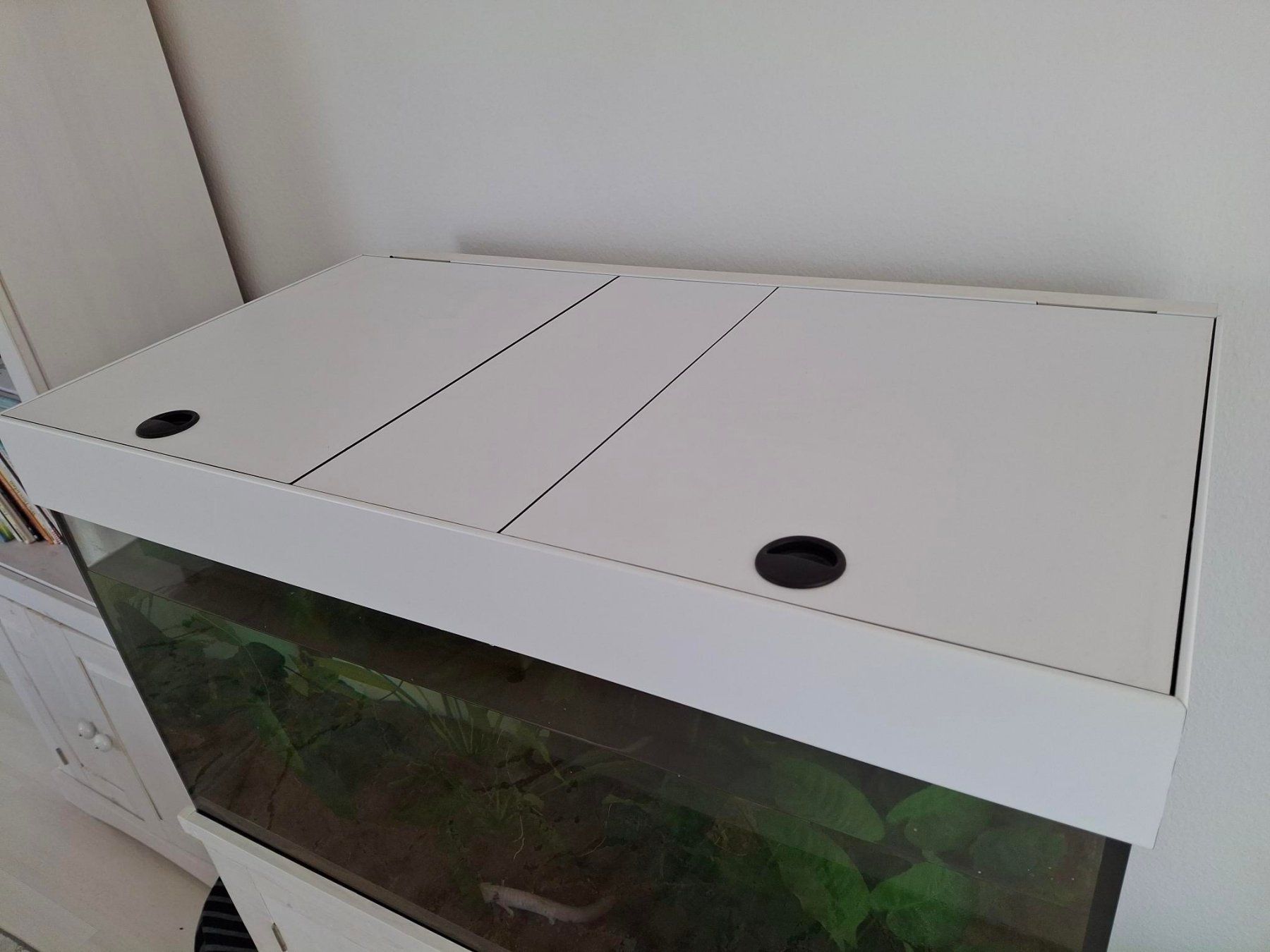 Acquari: Aquarium 250L inkl. Durchlaufkühler – Usato da Mönchaltorf venduto da Rafimen 1