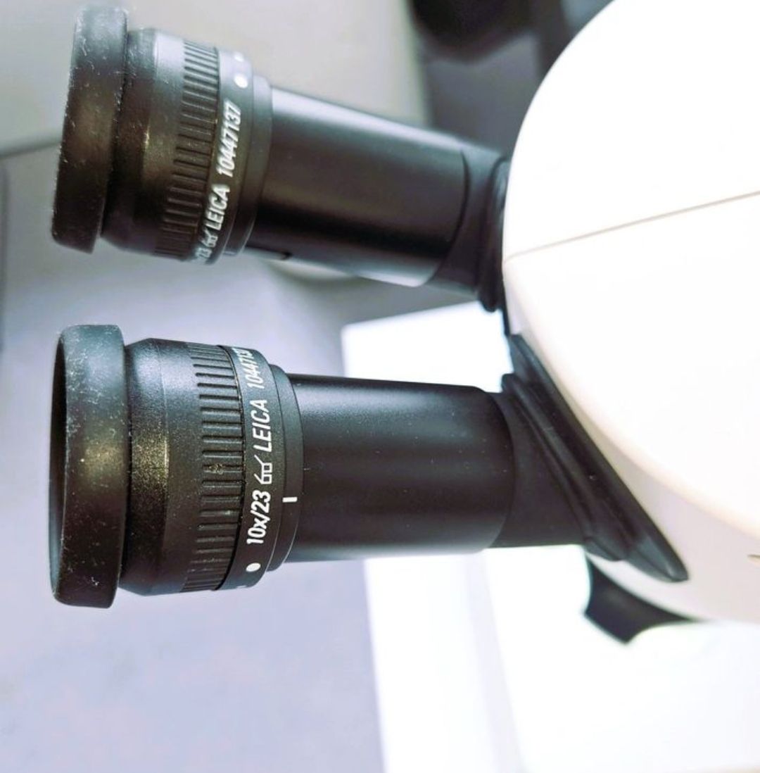 Leica Microscopi: LEICA Mikroskop Serie S9E – Usato da Arbon venduto da my_shopping 2