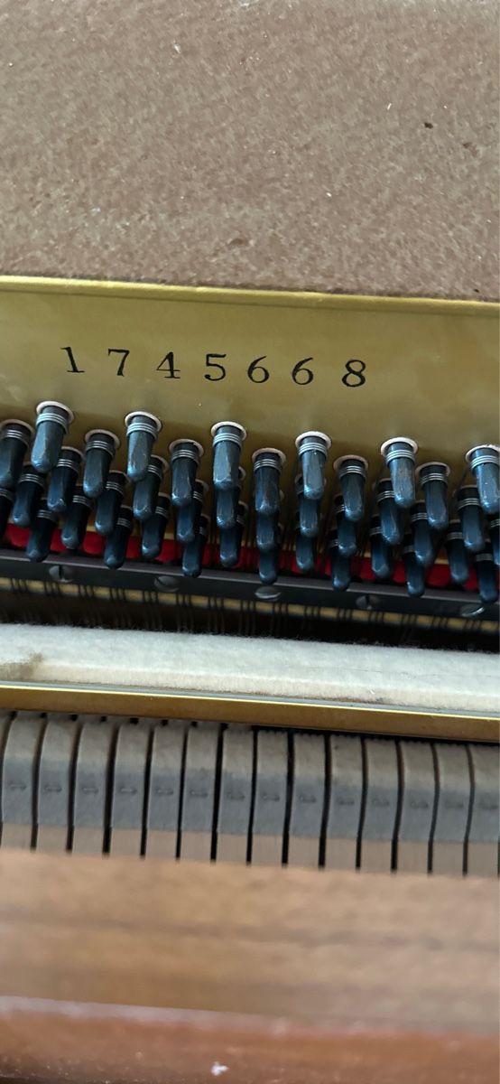 Yamaha Musikinstrumente: Klavier Yamaha – Gebraucht aus Adliswil von Csw 2