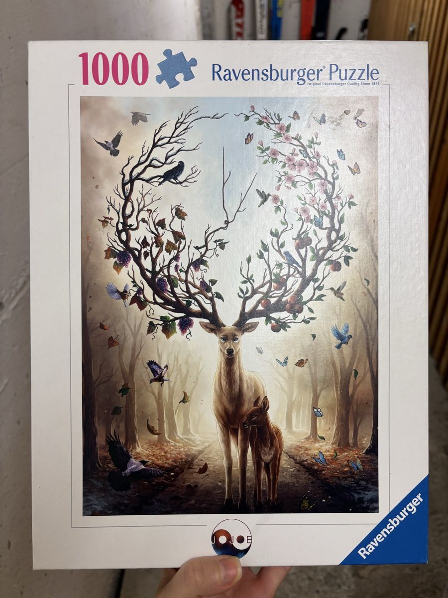 Ravensburger Puzzles: 2x Puzzle 1000x – Neu (gemäss Beschreibung) aus Davos Platz von Davos25 2