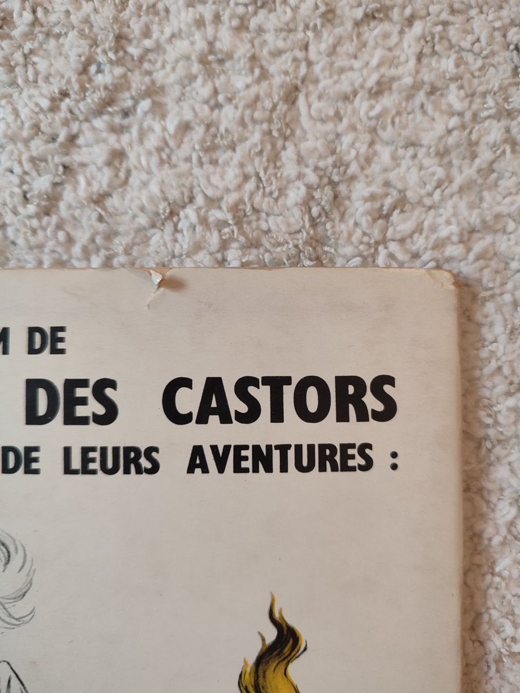 Fumetti: La patrouille des castors T11 EO BE – Usato da Bougy-Villars venduto da Vogue 4