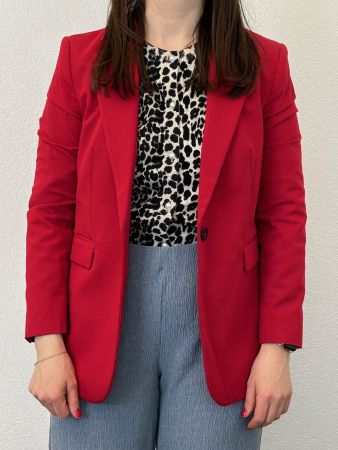 Mango Blazer