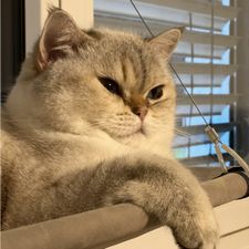 Profile image of HappyBalu