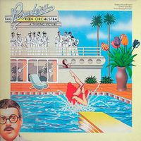 Paradera Roof Orchester - A talking Picture Vinyl