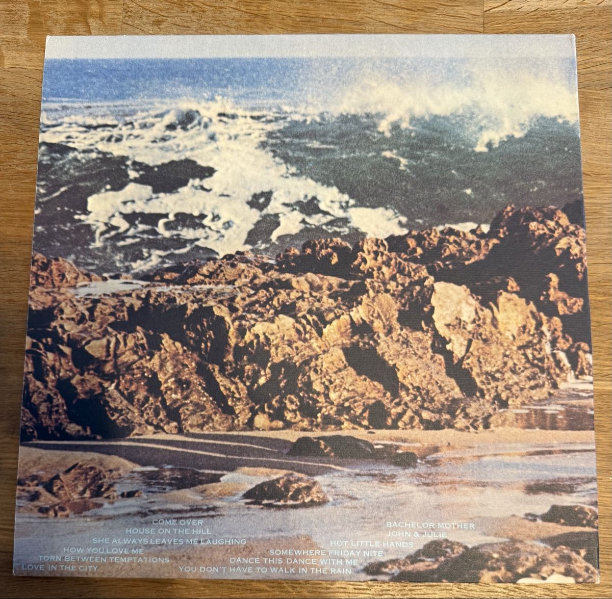 Dischi in vinile: The Turtles - Turtle Soup LP - Vinyl Schallplatte! – Usato da Goldach venduto da Messerguru 1