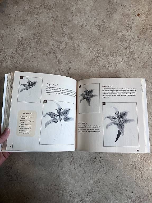 Libri: Buch Zeichnen lernen – Usato da Luzern venduto da mic_snk9 2