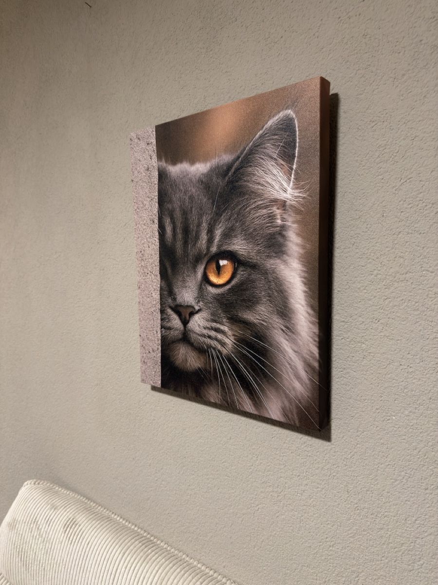 Dipinti: Katzenportrait | Leinwand  – Nuovo (secondo la descrizione) da Amriswil venduto da diegofend 2