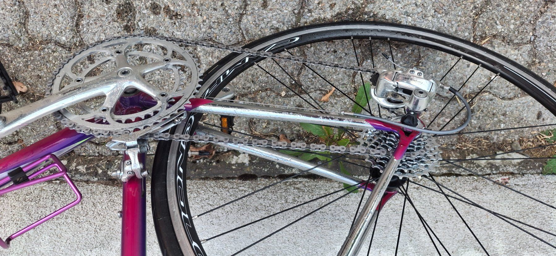 Colnago Vélos: Rennvelo COLNAGO – D'occasion à Kyburg par JBMNT2020 4