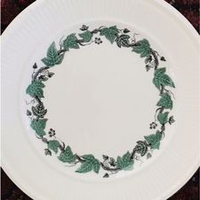 Profile image of Ivyleaf