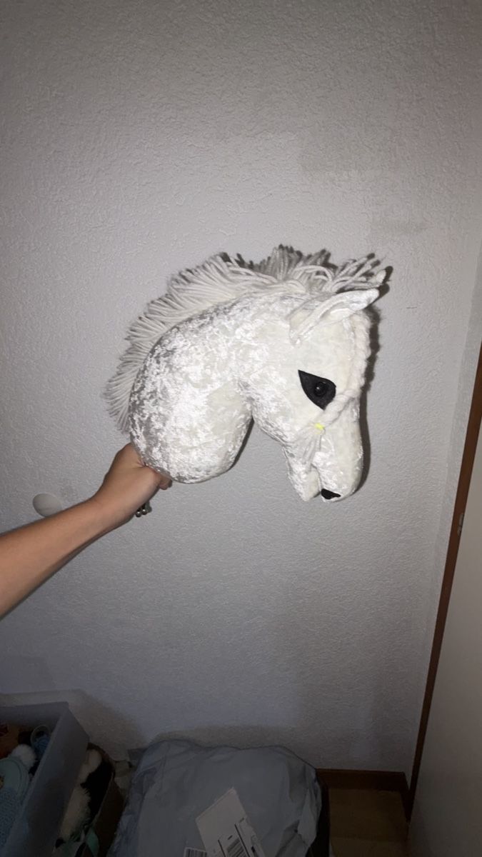Giocattoli: Hobby horse – Usato da Châtillens venduto da marmotte101 2