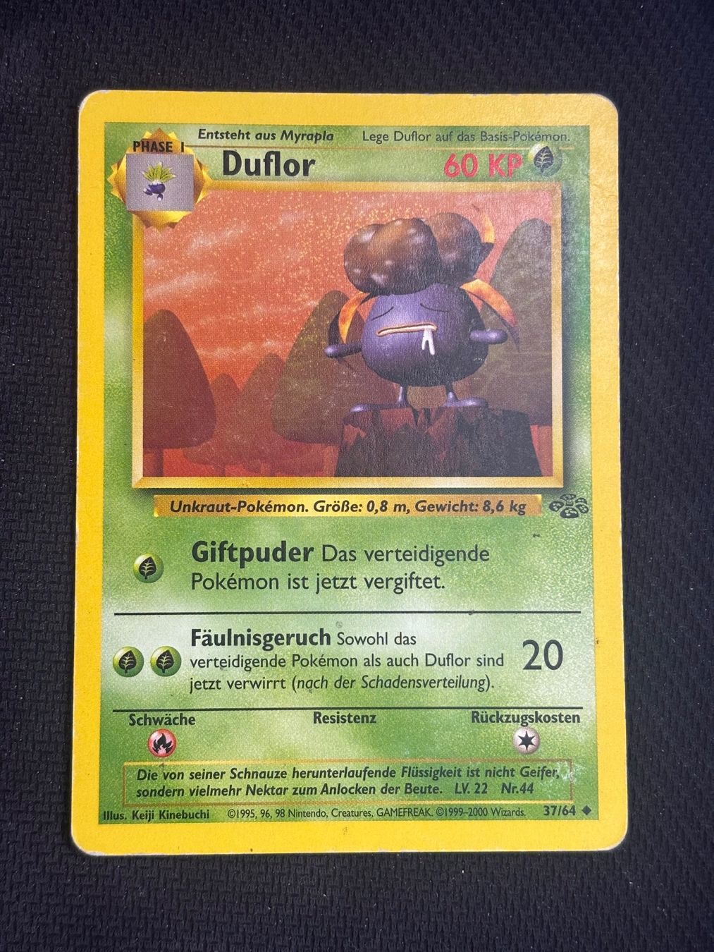 Pokémon Carte collezionabili: Pokemon Duflor 37/64 WOTC Jungle DE – Usato da St. Gallen venduto da KantoKarten