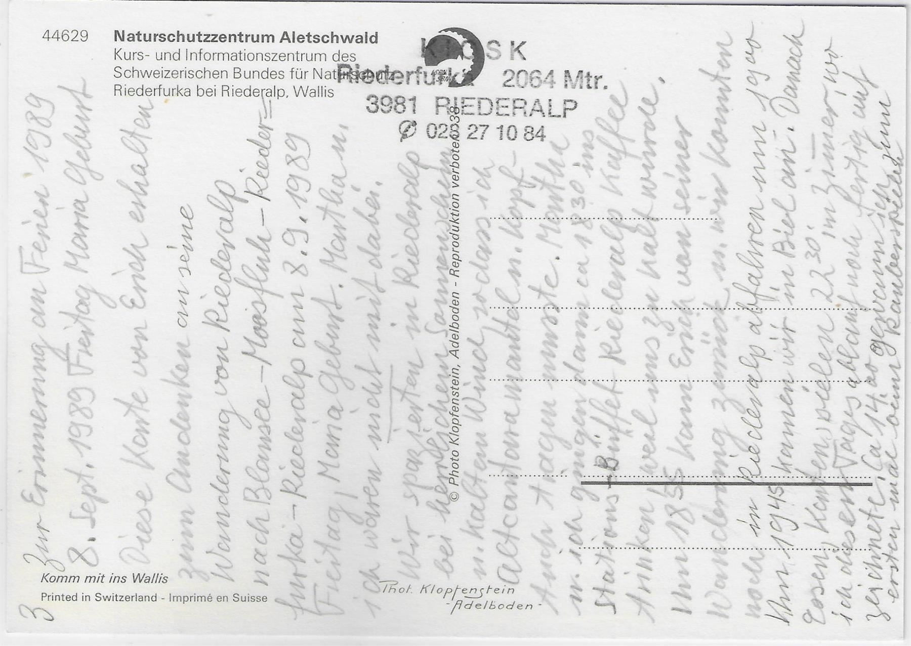 Dipinti: Naturschutzzentrum Aletschwald – Antico da Ettingen venduto da Kartenplanet 1