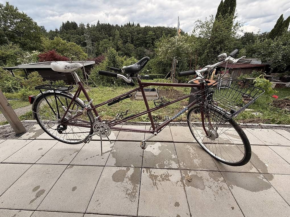 Biciclette: Mit dem Tandem in den Sommer – Usato da Bern venduto da raffaelinho01 4