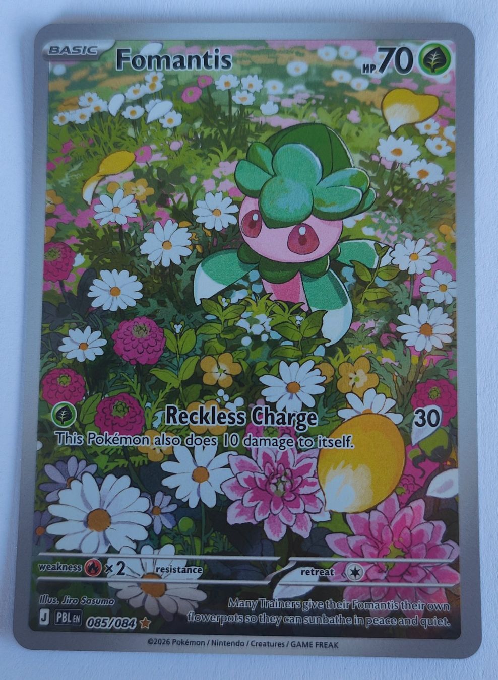 Pokémon Sammelbilder & Trading cards: Fomantis - Pokemon - 085/084 - Pitch Black – Gebraucht aus Suhr von kingj01