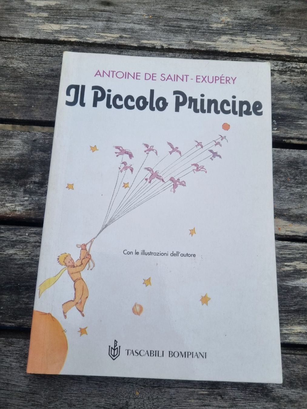 Libri: Il Piccolo Principe, Antoine de Saint-Exupé – Usato da Fribourg venduto da sal_5ln6