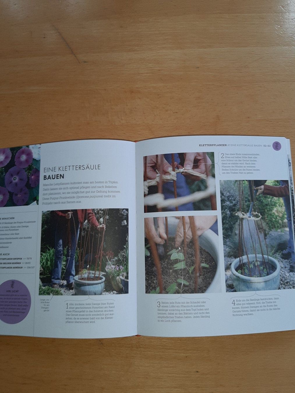 Bücher: So geht Garten: Das Gartenbuch für Einsteiger – Gebraucht aus Rotkreuz von nigal 7