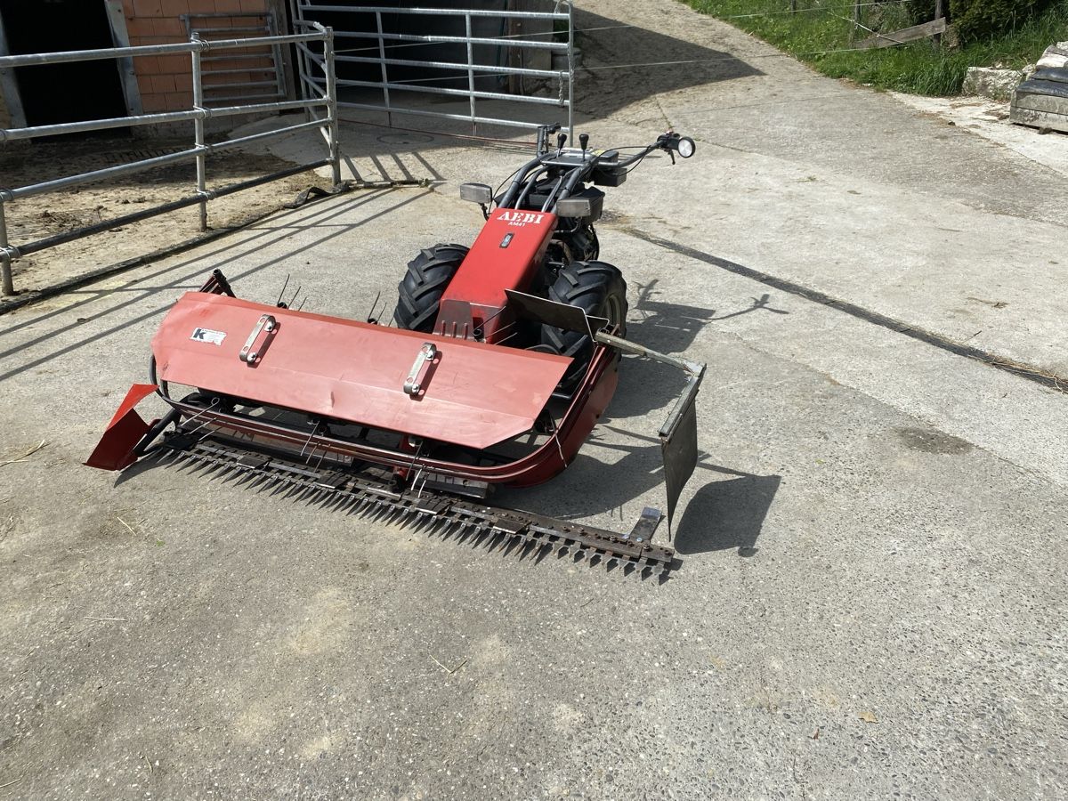 Aebi Tutte le macchine: Aebi Am 41 Motormäher – Usato da Pfaffnau venduto da jan_hodu 1